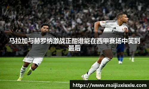 55世纪官方网站